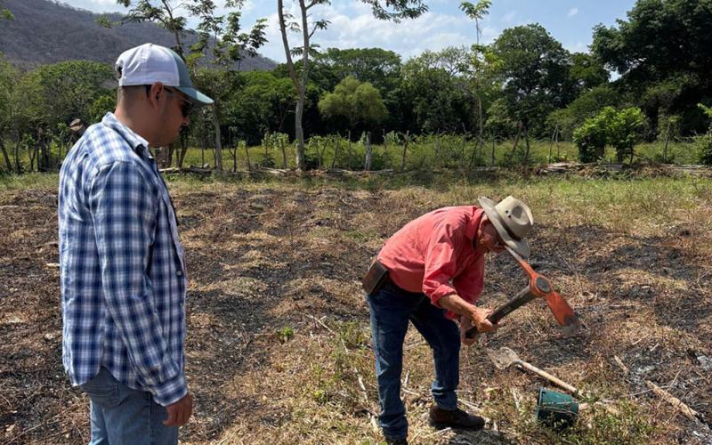 Brindan asistencia técnica en muestreo de suelos para cultivo de limón