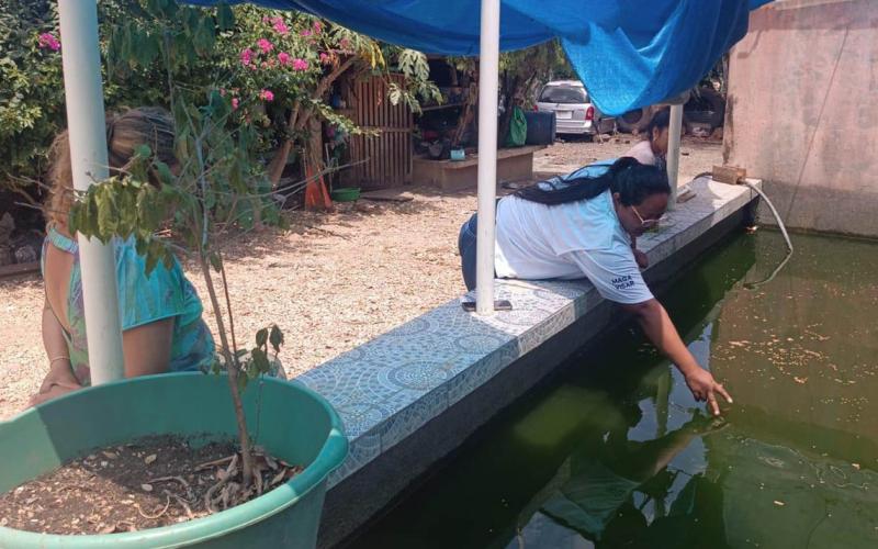 Brindan asistencia técnica para mejorar cultivo de tilapia en Petén