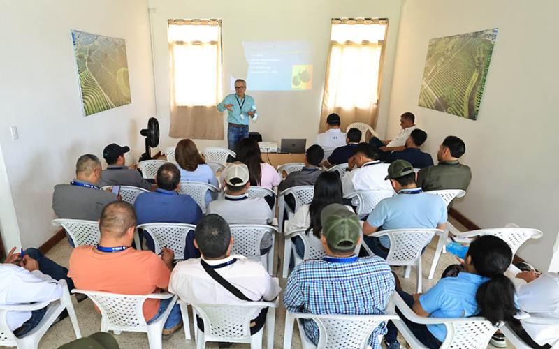 Aprenden procedimientos fitosanitarios para exportar aguacate Hass a los Estados Unidos