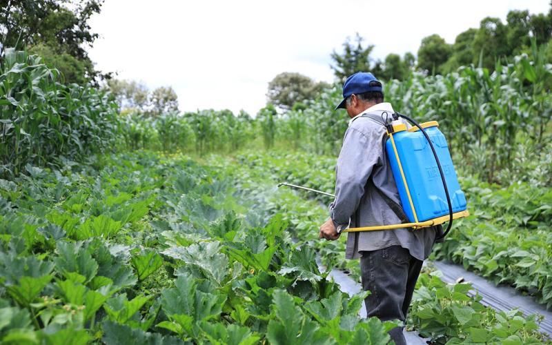 Crédito Tob’anik ha dado créditos por más de Q146 millones