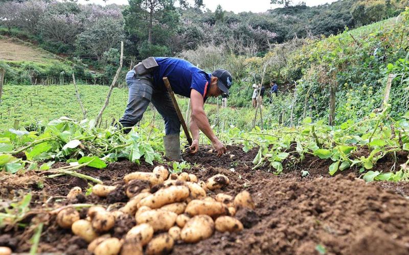 Crédito Tob’anik continúa fortaleciendo a pequeños productores