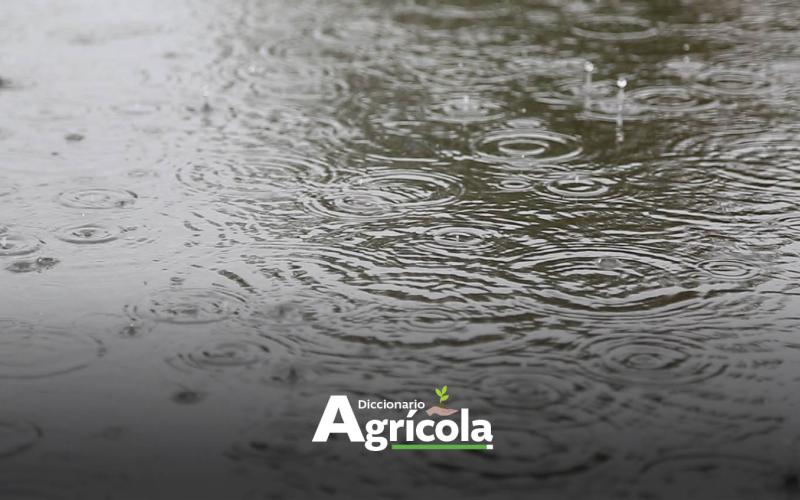 Diccionario Agrícola: Cosecha de Agua de Lluvia
