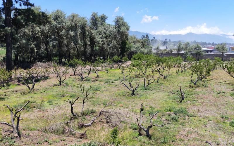 Emiten recomendaciones por las altas temperaturas y lluvias intensas