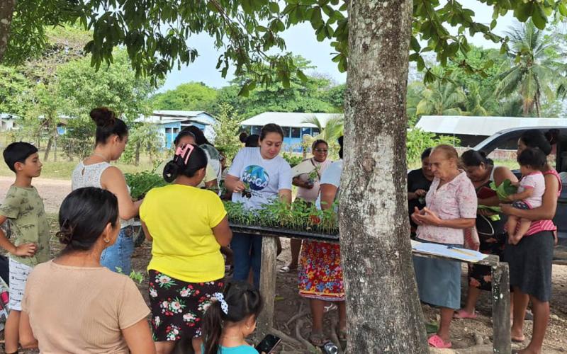 Entrega de pilones permite implementar huertos familiares en Las Cruces