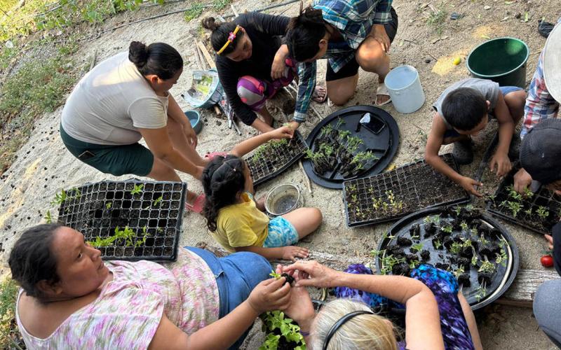 Potencian producción en Zacapa con entrega de insumos biológicos y hortalizas 