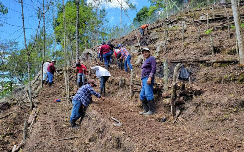 Entregan semillas y brindan asistencia técnica para establecer huerto comunal