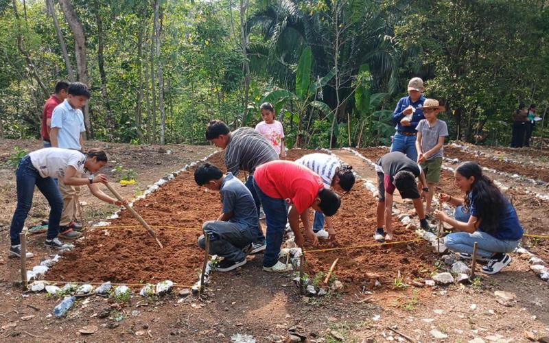 Estudiantes aprenden de agricultura sostenible y huertos escolares