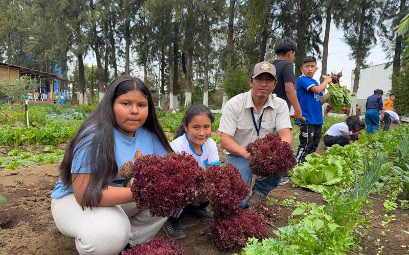 Estudiantes de El Tejar recogen primera cosecha de huerto escolar
