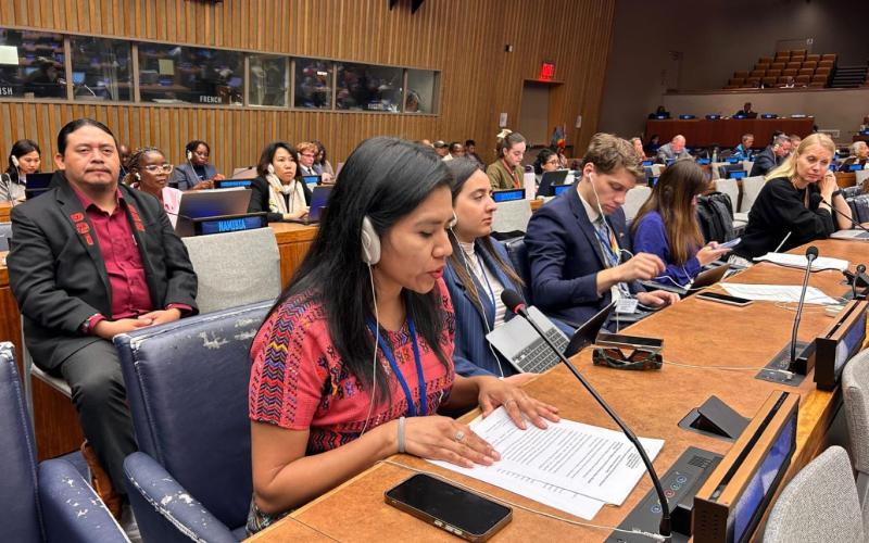 Eugenia Valey, directora de Planificación Sectorial de SEGEPLAN, expuso en Naciones Unidas