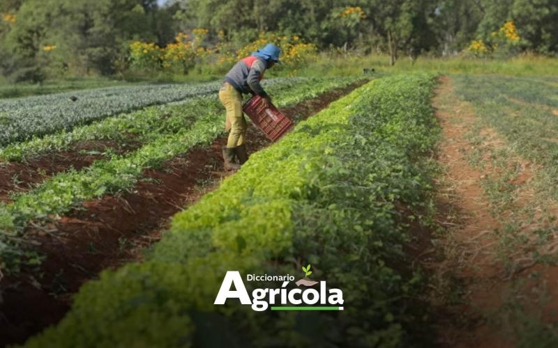 Diccionario Agrícola: Fitosanidad