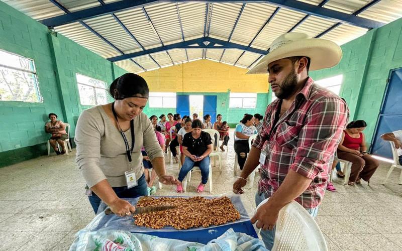 Fomentan el desarrollo económico familiar y la seguridad alimentaria en Comapa