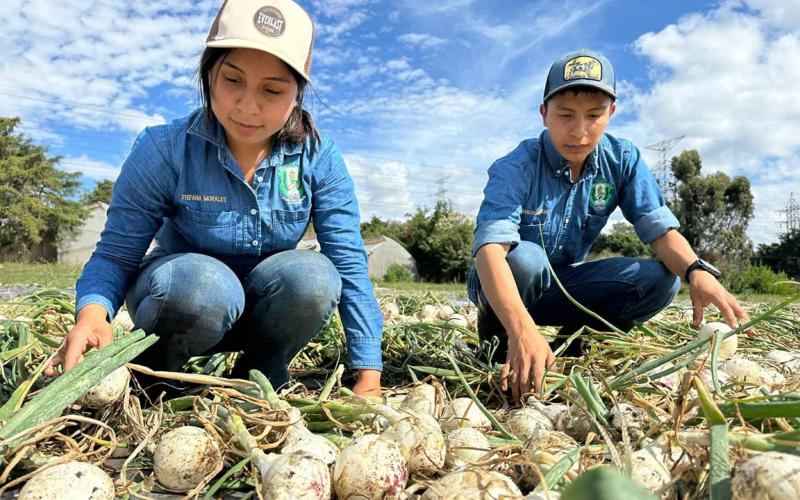 Futuros Peritos Agrónomos consolidan conocimientos para producción sostenible de hortalizas