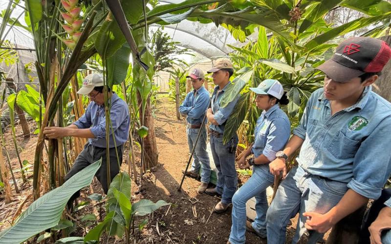 Futuros peritos agrónomos dominan procesos técnicos para la producción de follaje de corte