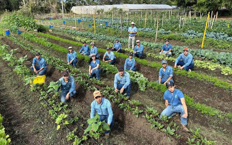 Futuros peritos agrónomos aplican el modelo "Aprender Haciendo" en cultivos hortícolas