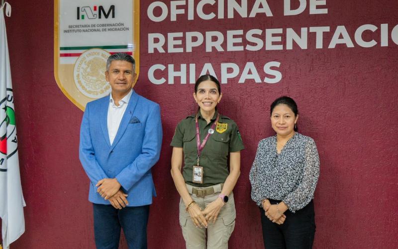 nota de prensa