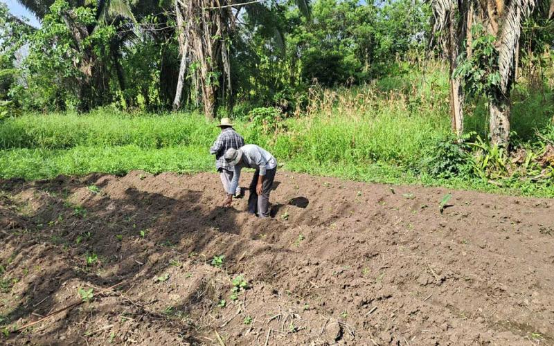 Huertos familiares abren oportunidades a retornados