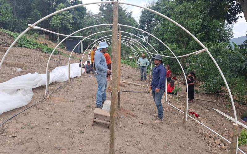 En Huehuetenango tecnifican la agricultura familiar con macrotúneles
