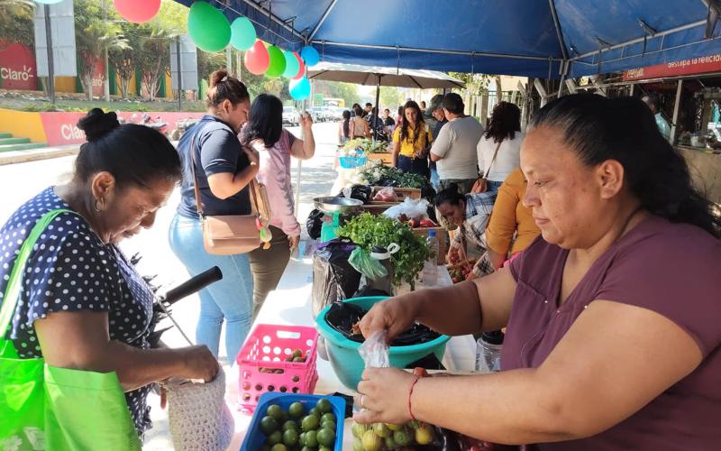 Impulsan comercialización directa con la Feria del Agricultor en El Progreso