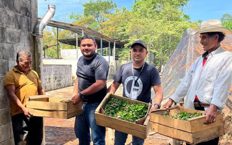Impulsan el desarrollo cafetalero con la siembra de chapolas