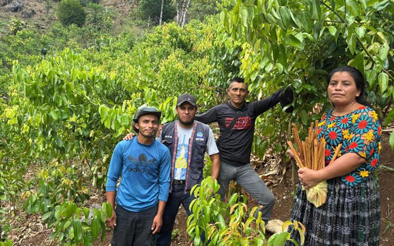 Impulsan la inserción de productores de canela y pimienta en cadenas de valor comerciales