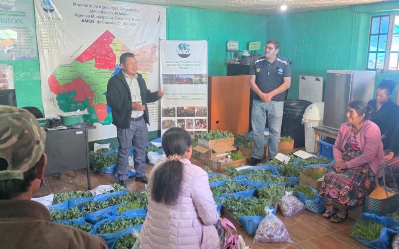 Impulsan la producción de hortalizas en beneficio en San Marcos