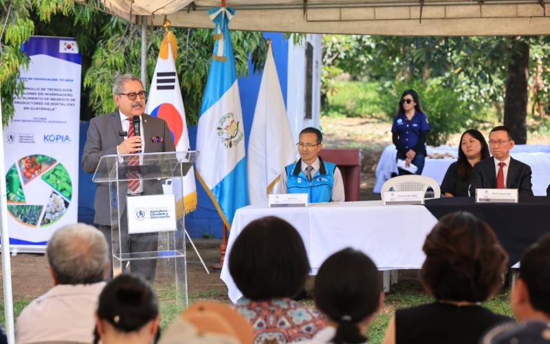 Tecnologías de ambiente protegido impulsan producción hortícola en Amatitlán
