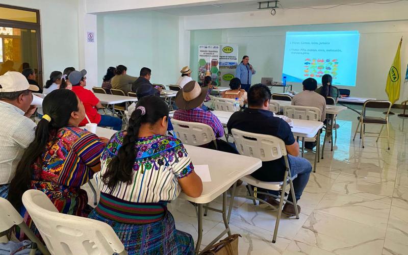 Instruyen a proveedores del Programa de Alimentación Escolar en Chimaltenango