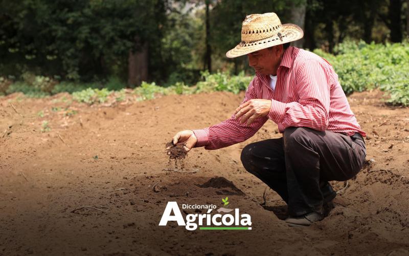 Diccionario Agrícola: Labranza mínima