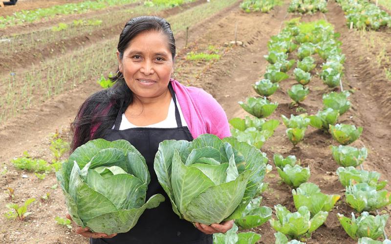 Liderazgo femenino en producción y comercialización