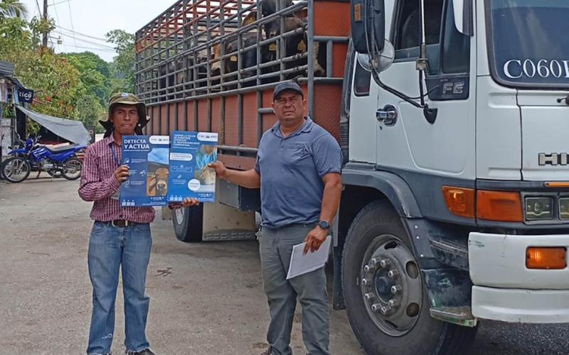 Más de 10 mil animales inspeccionados por acciones contra el Gusano Barrenador
