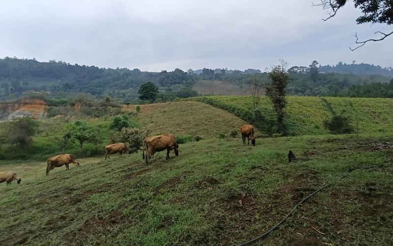 Monitoreo en 266 municipios por riesgo agroclimático