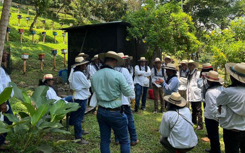 Optimizan capacidades técnicas de apicultores de Santa Rosa para fortalecer producción de miel