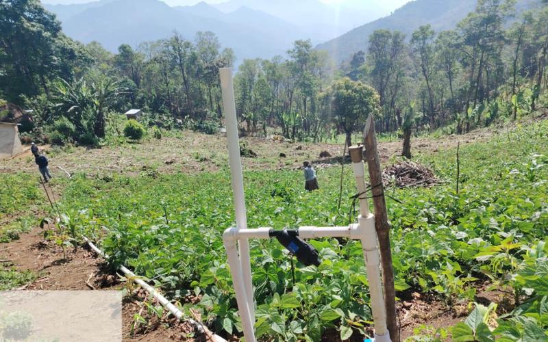 Optimizan sistemas productivos resilientes para asegurar el desarrollo sostenible del agro