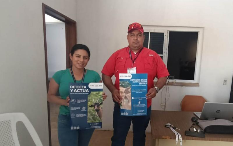 Refuerzan acciones de control y erradicación del gusano barrenador