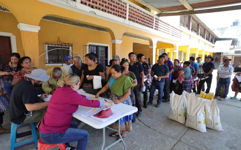 Semilla certificada impulsa recuperación agrícola de familias en Santa María de Jesús