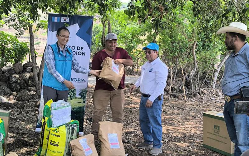 Semillas e insumos fortalecen la producción de frijol en el corredor seco