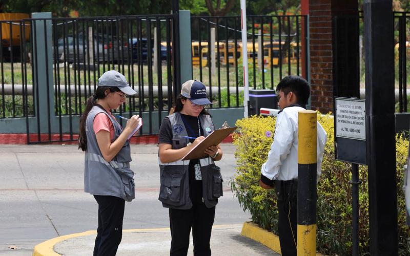 UBA investiga posible envenenamiento de gatos