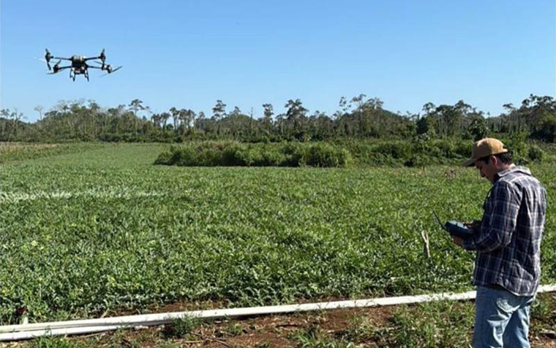 Uso de drones mejora el control de cultivos en La Libertad