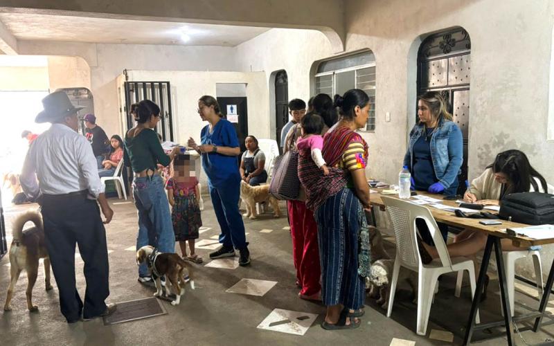 Vacunan y desparasitan a más de 200 animales en Sacatepéquez