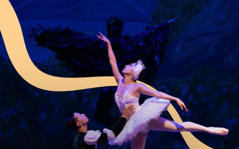 Festival Nacional de Danza y Movimiento
