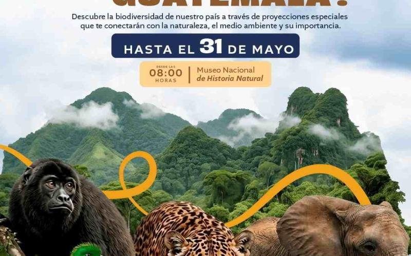 ¿Alguna vez te has detenido a observar todo lo que vive a tu alrededor?