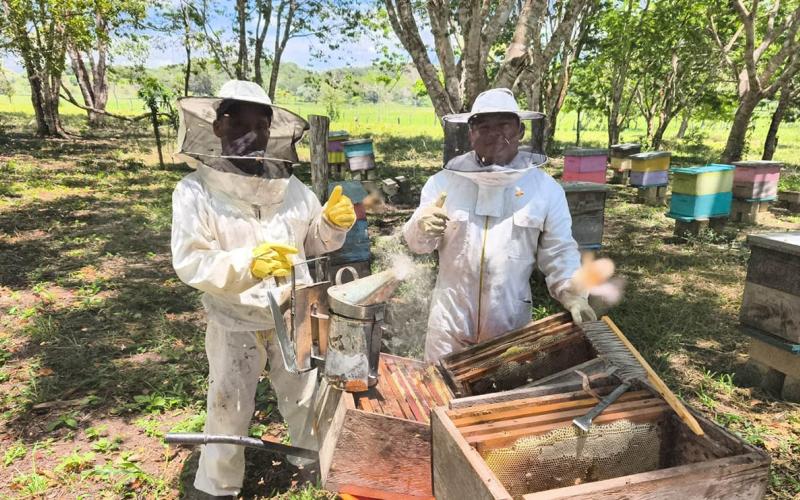 Asistencia técnica fortalece la apicultura de San José, Petén