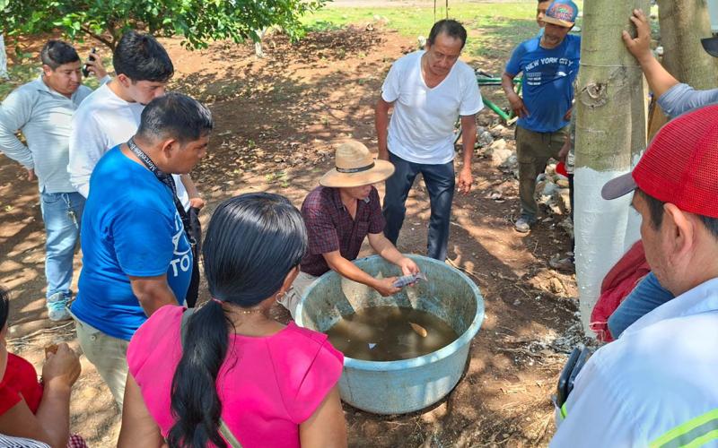 Capacitación en tilapia abre oportunidades reales para familias productoras