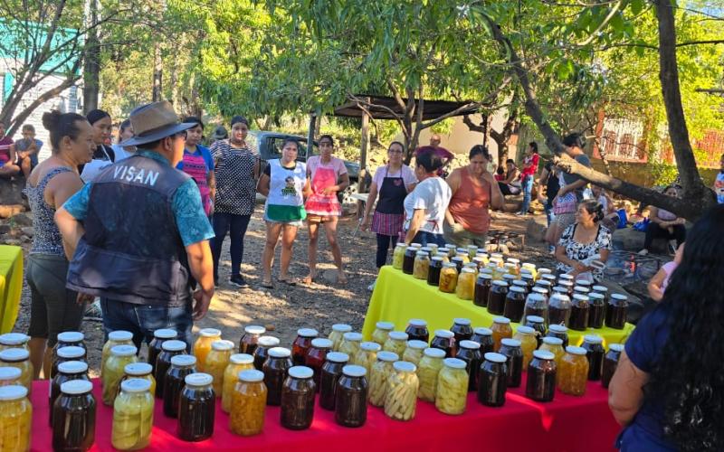 Comunidades transforman sus cosechas y cuidan el ambiente con proyectos productivos