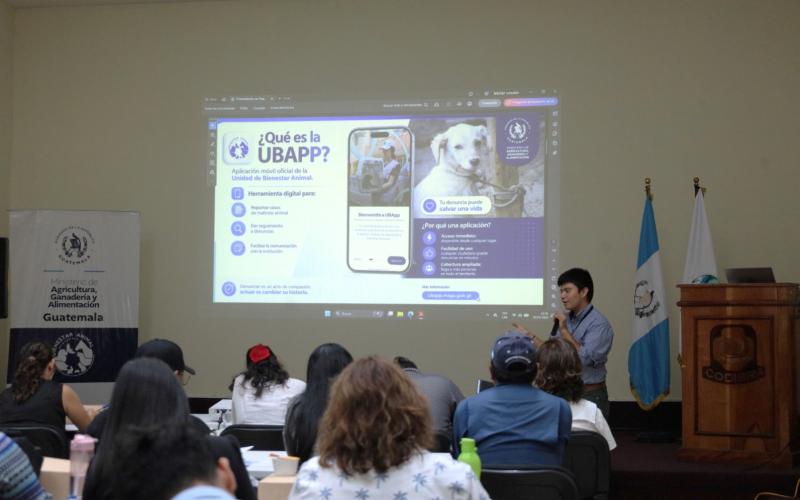 Diplomado fortalece atención institucional en bienestar animal