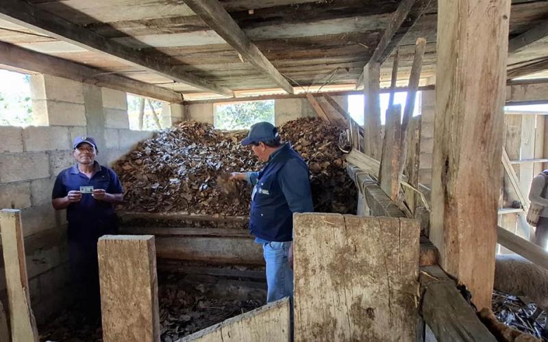 Comunidades de San Marcos impulsan proyectos productivos a cambio de apoyo alimentario