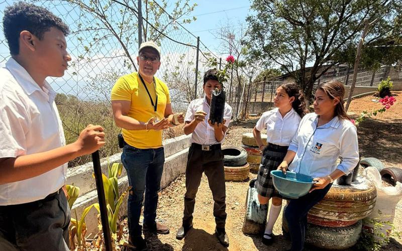 Estudiantes transforman entorno escolar con plantas ornamentales 