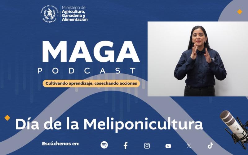 MAGA Podcast: Día de la Meliponicultura
