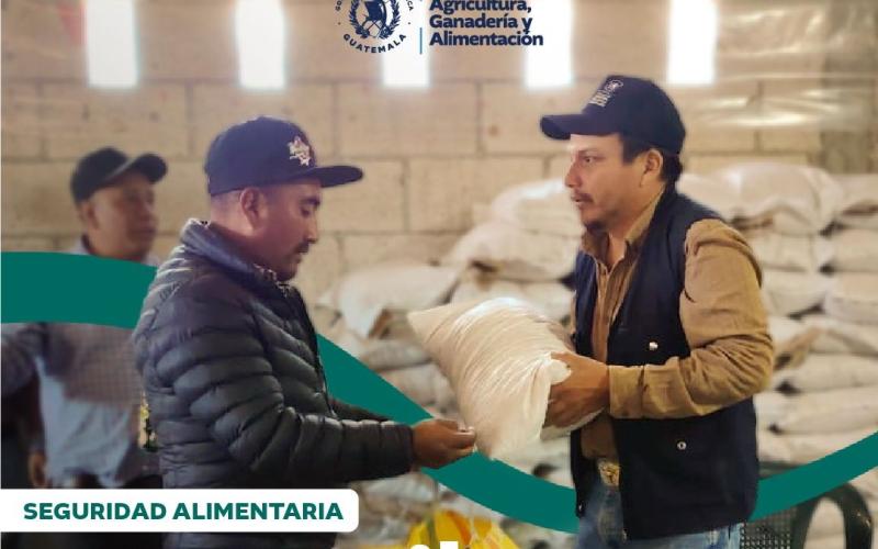 Más de 428 mil familias fortalecen su seguridad alimentaria