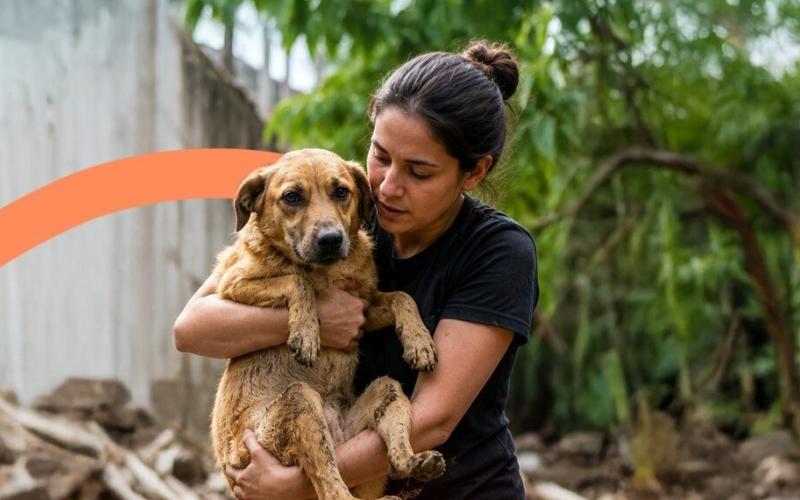 Una mascota es para toda la vida